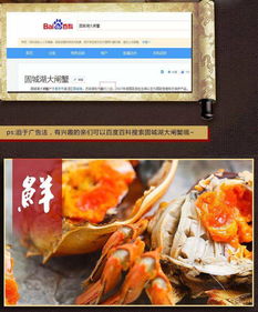 固城湖精品大闸蟹 鲜甜爆膏，产地直发，品质无忧