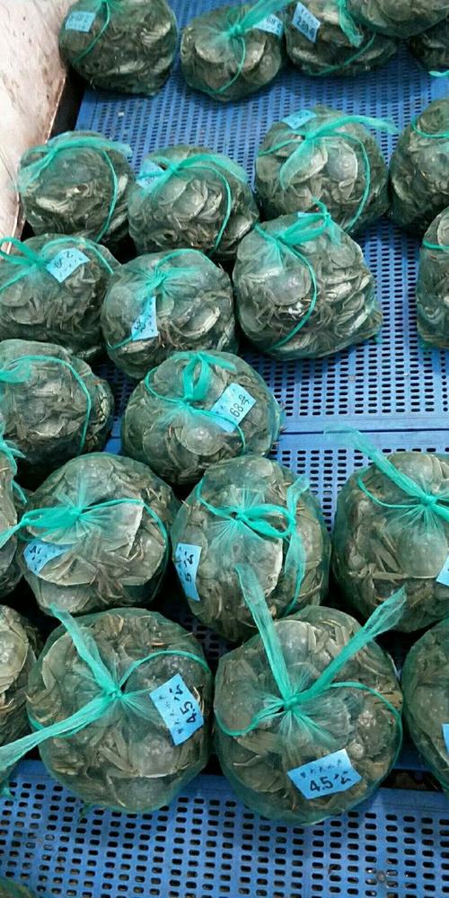 金秋品蟹 大闸蟹的滋味与文化
