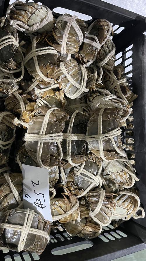 江苏大闸蟹 规格齐全，保质保量，量大从优